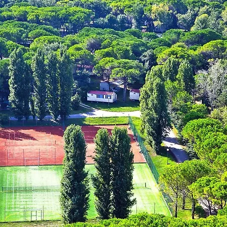 Belvedere, *